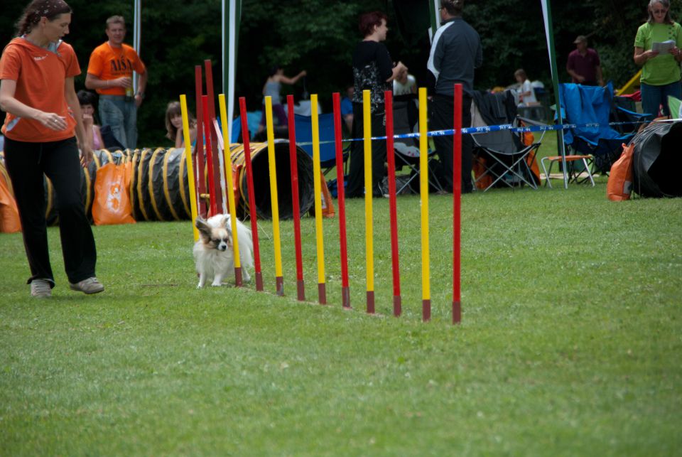 AGILITY TEKMA CUPLICA PRI KAMNIKU 2.DEL - foto povečava