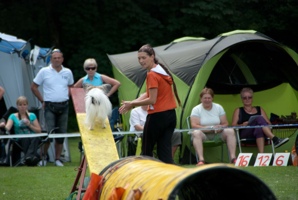 AGILITY TEKMA CUPLICA PRI KAMNIKU 2.DEL - foto povečava