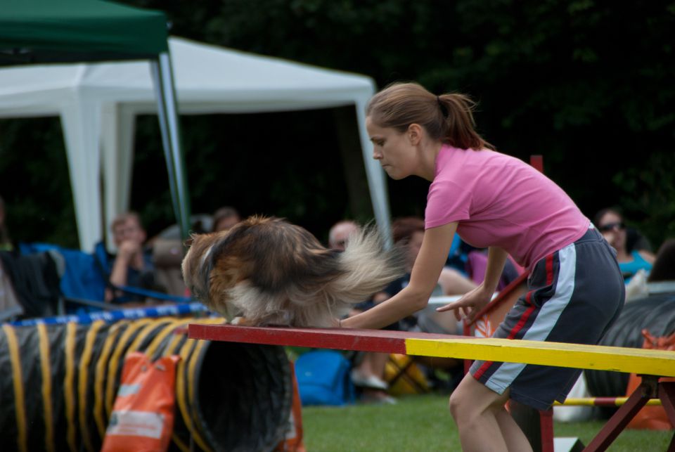 AGILITY TEKMA CUPLICA PRI KAMNIKU 2.DEL - foto povečava