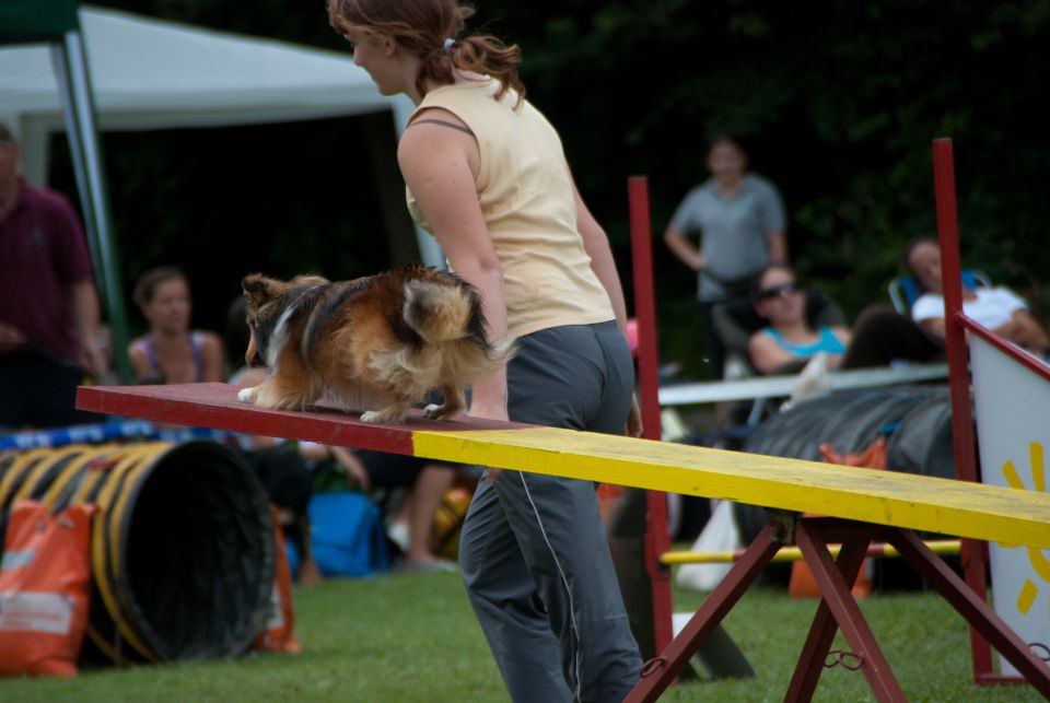 AGILITY TEKMA CUPLICA PRI KAMNIKU 2.DEL - foto povečava