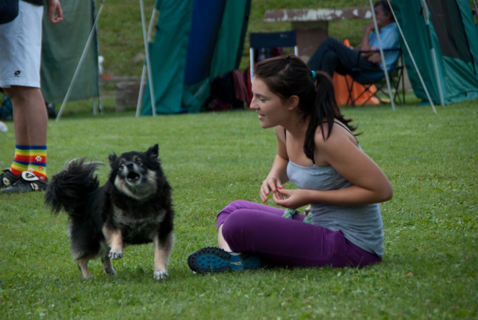 AGILITY TEKMA CUPLICA PRI KAMNIKU 2.DEL - foto povečava