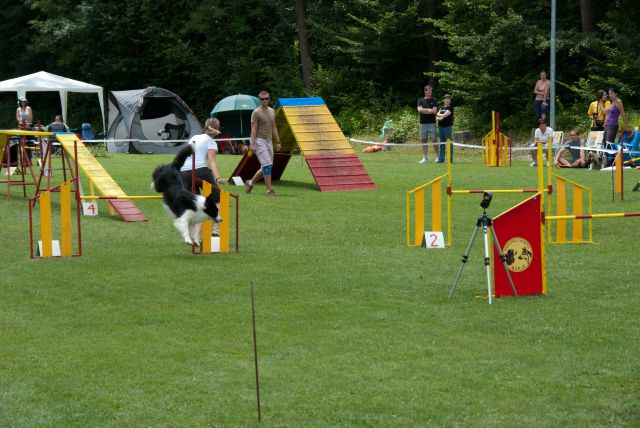 AGILITY TEKMA CUPLICA PRI KAMNIKU 2.DEL - foto