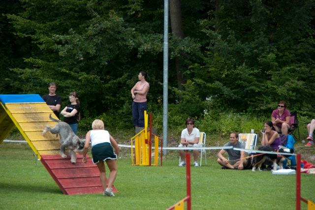 AGILITY TEKMA CUPLICA PRI KAMNIKU 2.DEL - foto