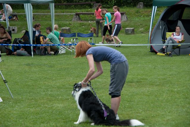 AGILITY TEKMA CUPLICA PRI KAMNIKU 2.DEL - foto