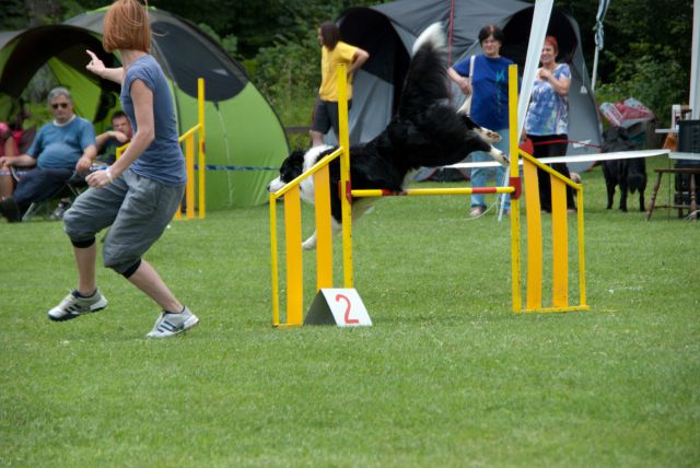 AGILITY TEKMA CUPLICA PRI KAMNIKU 2.DEL - foto