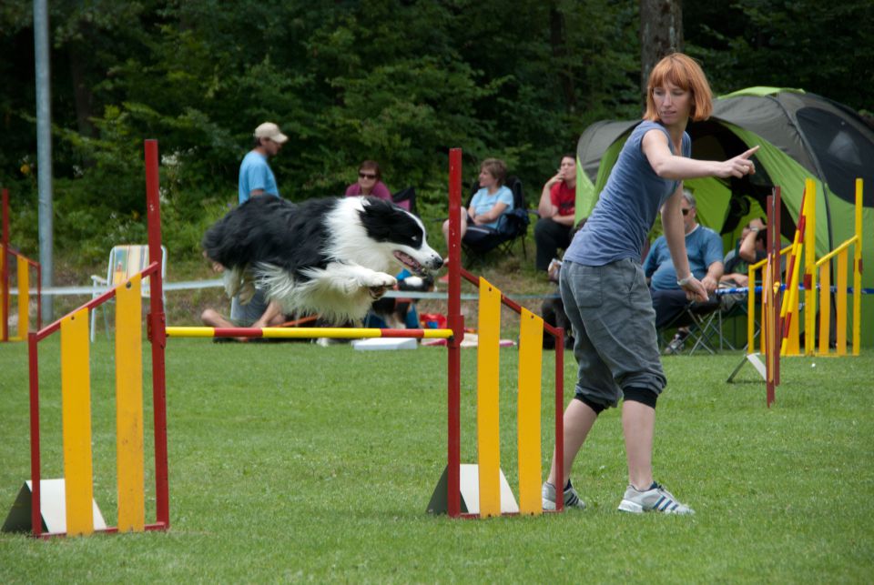 AGILITY TEKMA CUPLICA PRI KAMNIKU 2.DEL - foto povečava