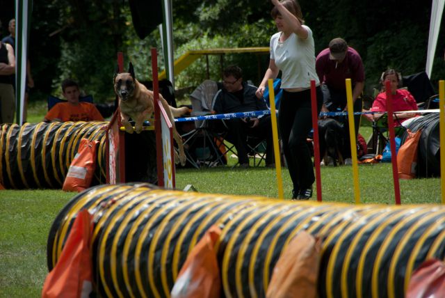 AGILITY TEKMA CUPLICA PRI KAMNIKU 2.DEL - foto