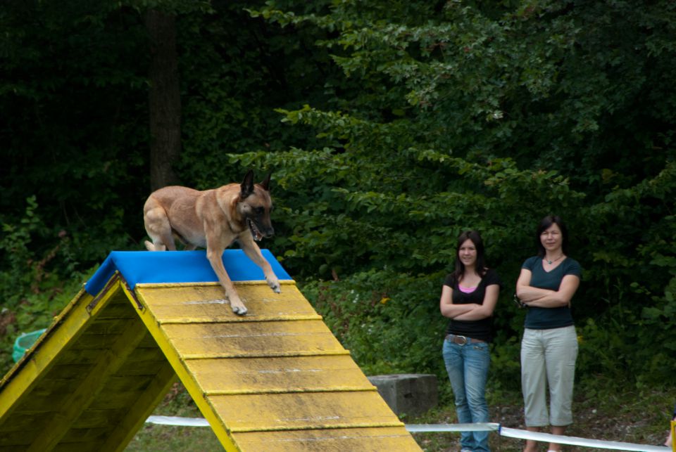 AGILITY TEKMA CUPLICA PRI KAMNIKU 2.DEL - foto povečava