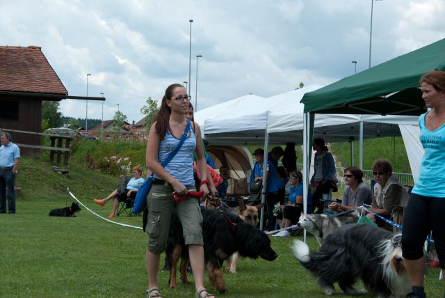 AGILITY TEKMA CUPLICA PRI KAMNIKU 2.DEL - foto