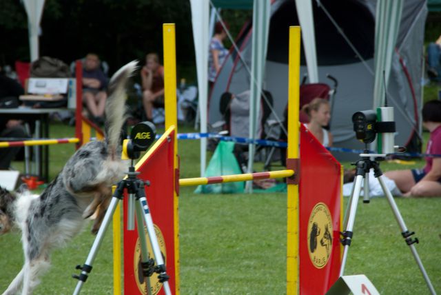 AGILITY TEKMA CUPLICA PRI KAMNIKU 2.DEL - foto