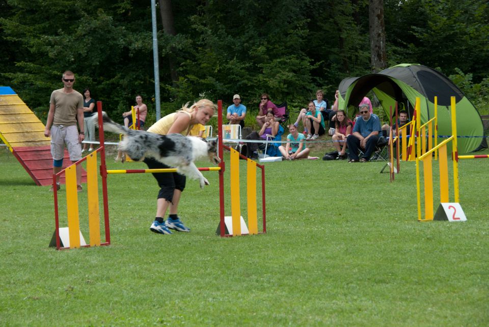 AGILITY TEKMA CUPLICA PRI KAMNIKU 2.DEL - foto povečava