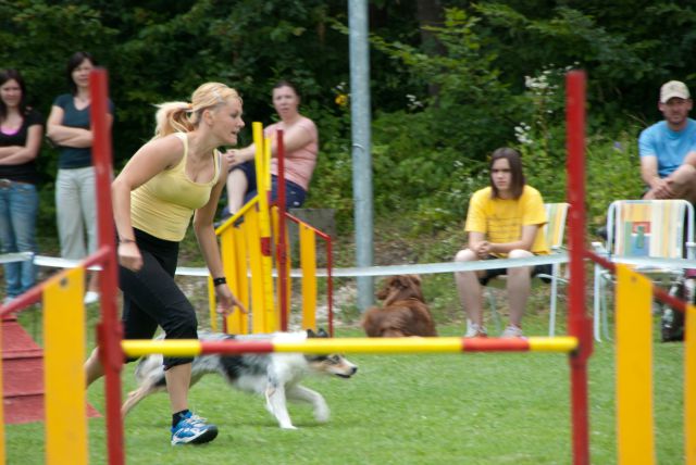 AGILITY TEKMA CUPLICA PRI KAMNIKU 2.DEL - foto