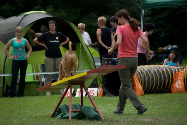 AGILITY TEKMA CUPLICA PRI KAMNIKU 2.DEL - foto