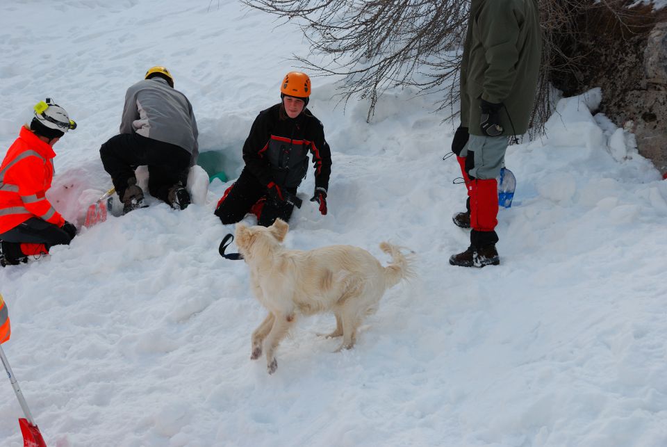 Lavinski tečaj Vršič 2012 - foto povečava