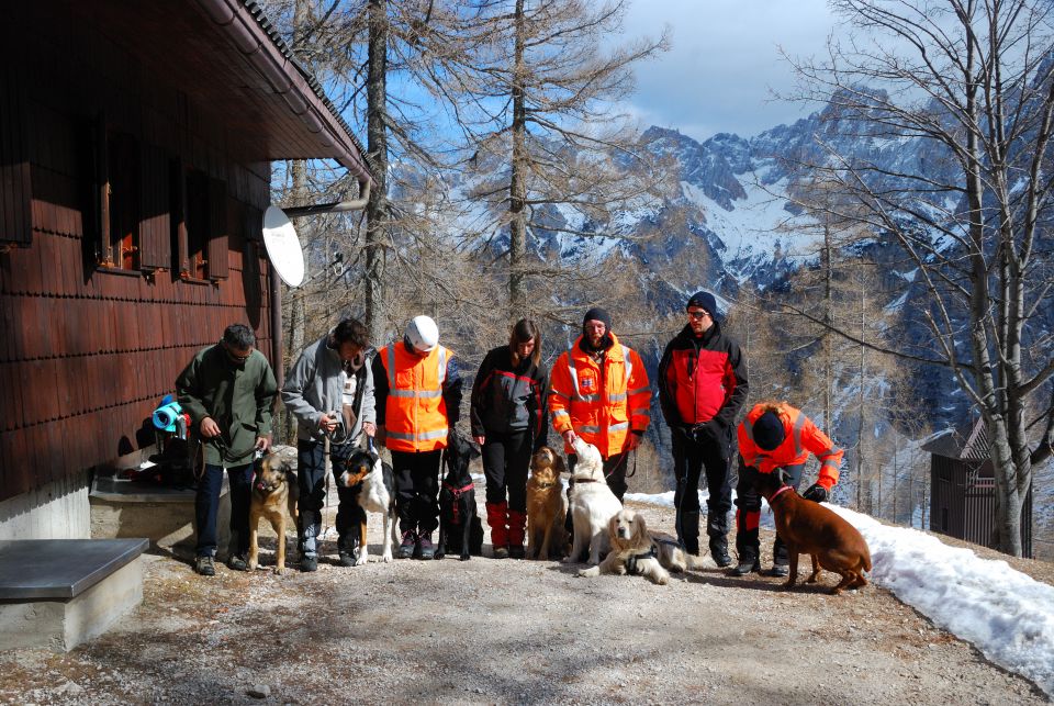 Lavinski tečaj Vršič 2012 - foto povečava