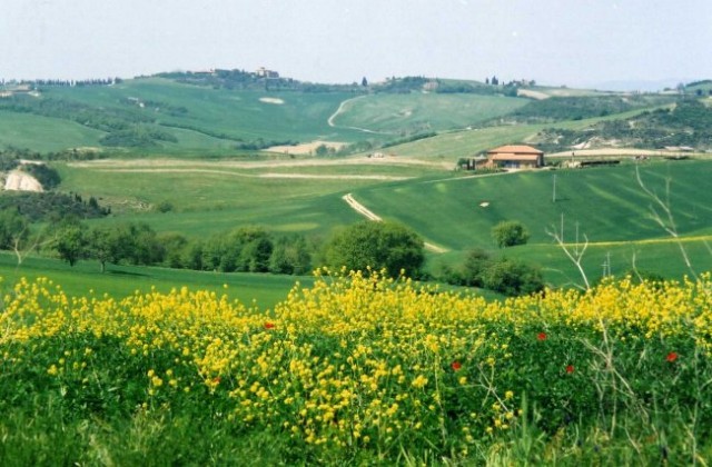 Toscana - maj 2003 - foto