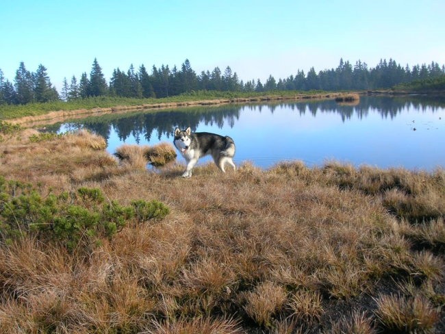 Oktober 2005 - foto povečava