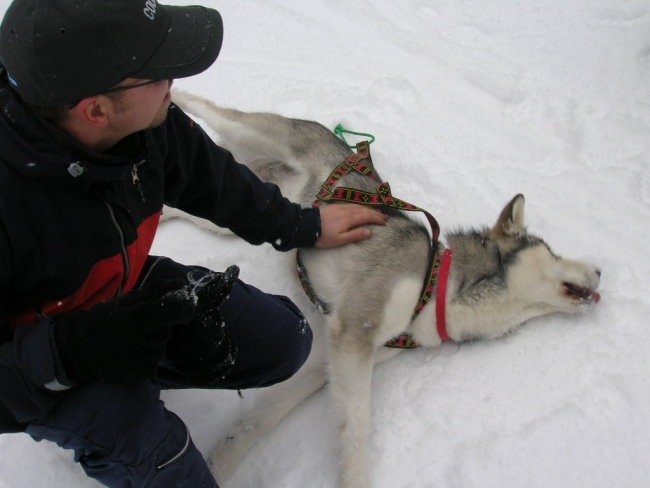 Januar 2006 - foto povečava