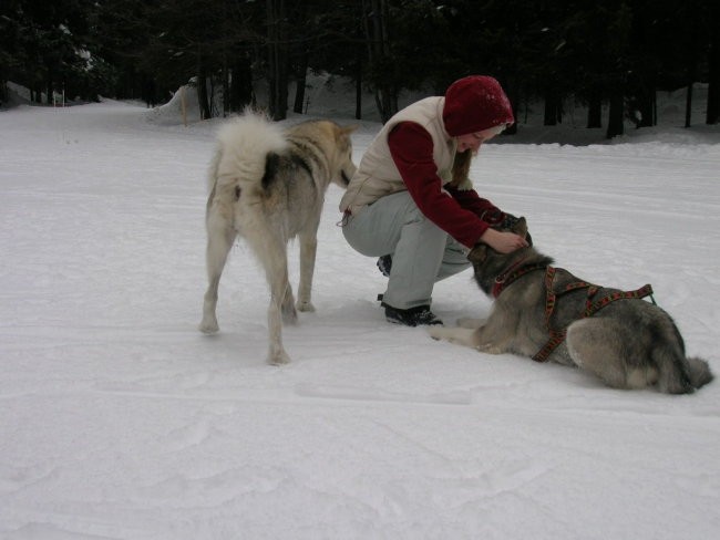 Januar 2006 - foto povečava