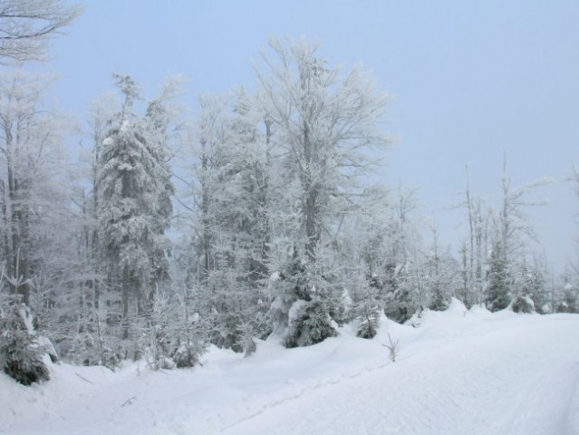 Januar 2006 - foto