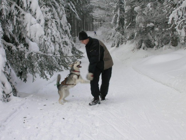 Januar 2006 - foto povečava