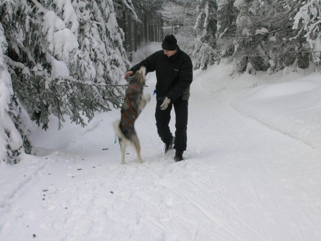 Januar 2006 - foto povečava