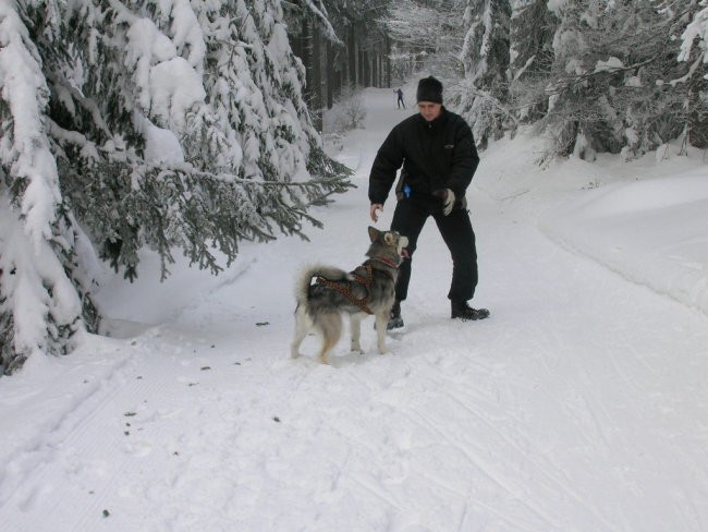 Januar 2006 - foto povečava