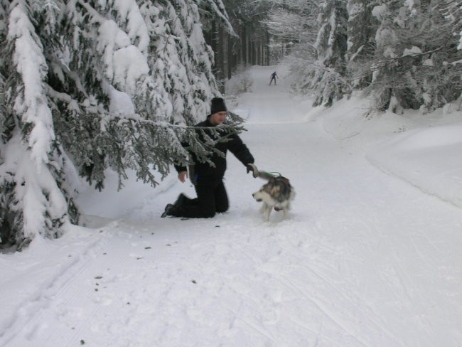 Januar 2006 - foto povečava