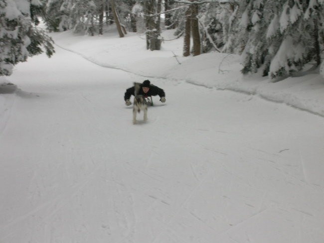 Januar 2006 - foto povečava