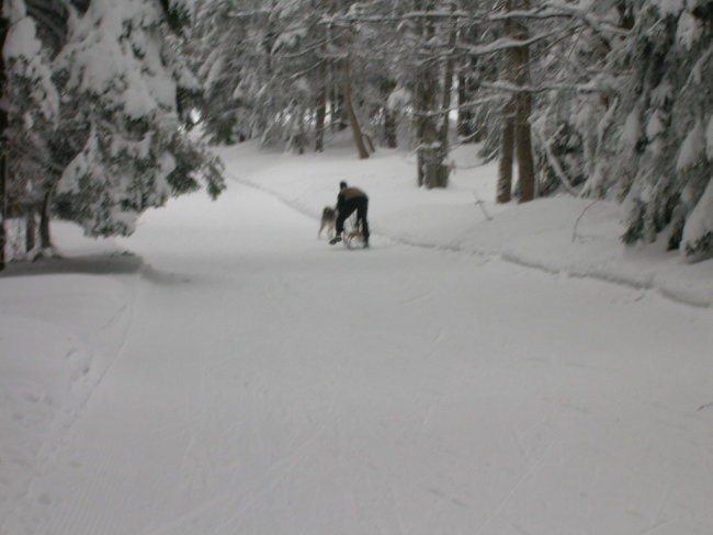 Januar 2006 - foto povečava