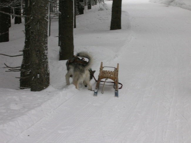 Januar 2006 - foto povečava