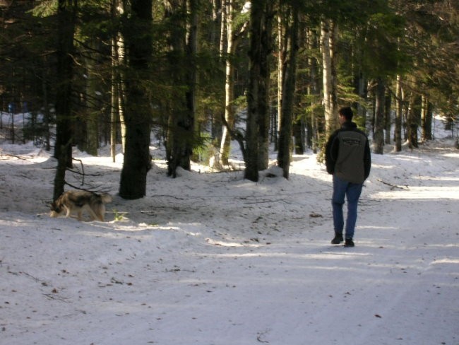 Januar 2006 - foto povečava