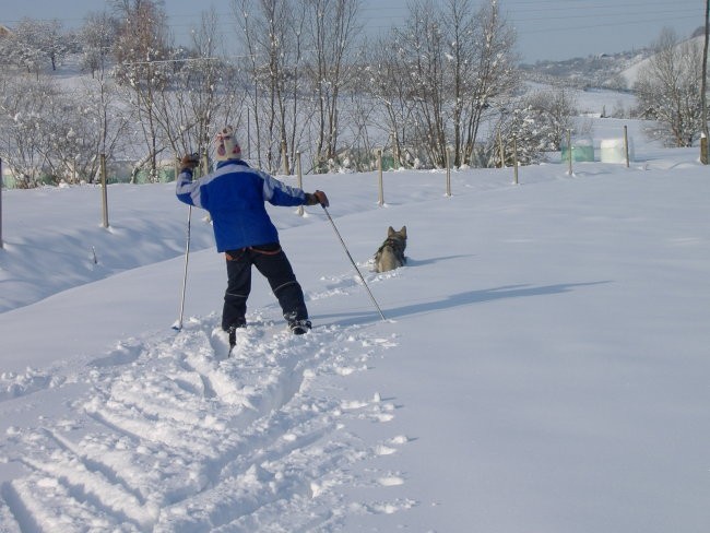 Januar 2006 - foto povečava