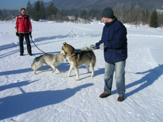Februar 2006 - Kranjska gora - foto