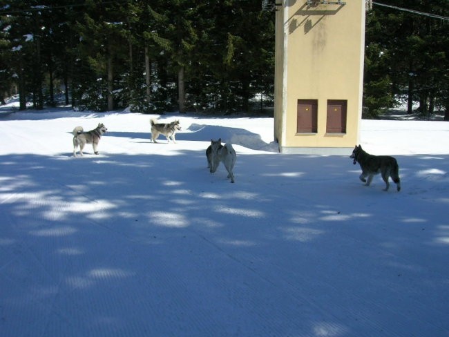 Marec 2006 - Areh - Aska, Mal, Snežka, Delta, - foto povečava