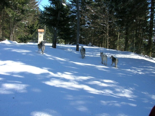 Marec 2006 - Areh - Aska, Mal, Snežka, Delta, - foto povečava