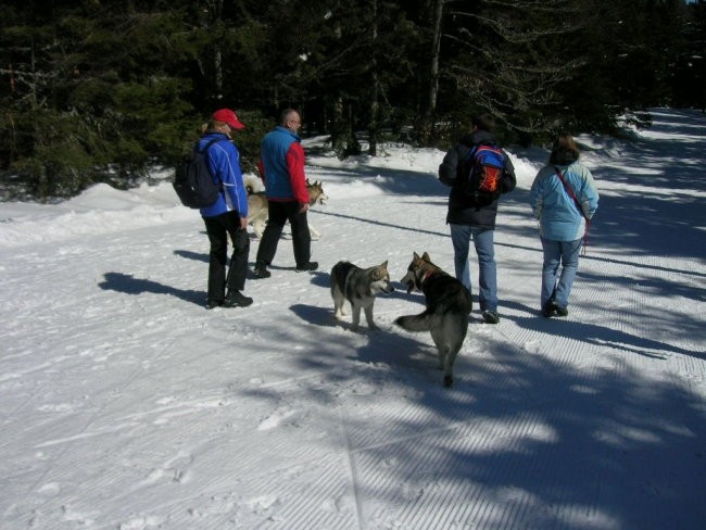 Marec 2006 - Areh - Aska, Mal, Snežka, Delta, - foto povečava