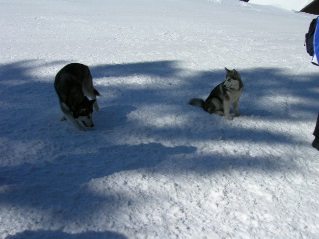 Marec 2006 - Areh - Aska, Mal, Snežka, Delta, - foto povečava