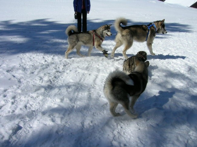 Marec 2006 - Areh - Aska, Mal, Snežka, Delta, - foto povečava