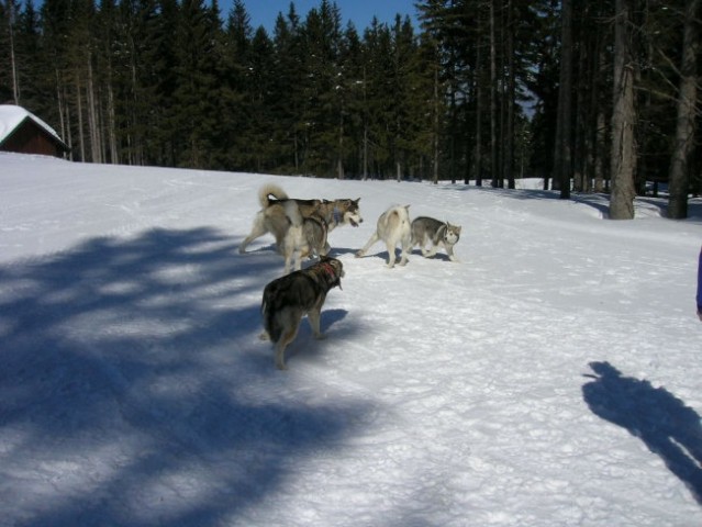 Marec 2006 - Areh - Aska, Mal, Snežka, Delta, - foto