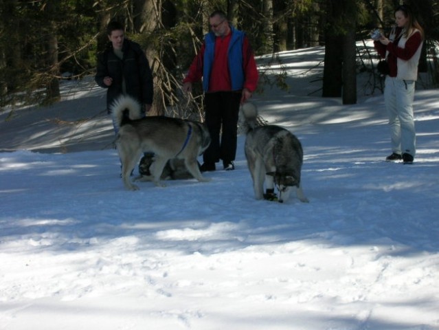 Marec 2006 - Areh - Aska, Mal, Snežka, Delta, - foto