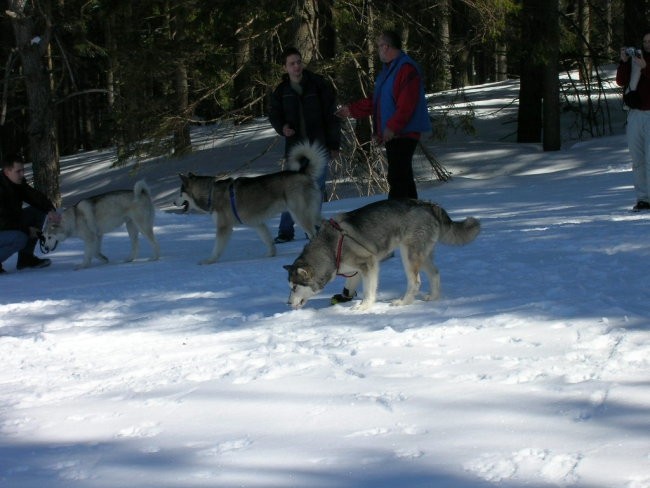 Marec 2006 - Areh - Aska, Mal, Snežka, Delta, - foto povečava