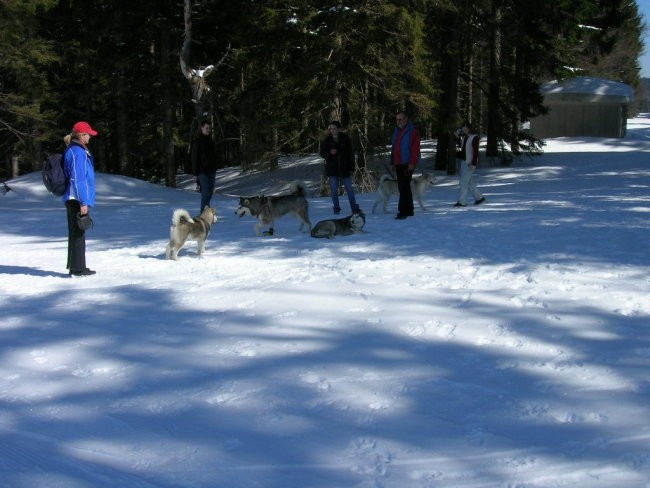 Marec 2006 - Areh - Aska, Mal, Snežka, Delta, - foto povečava