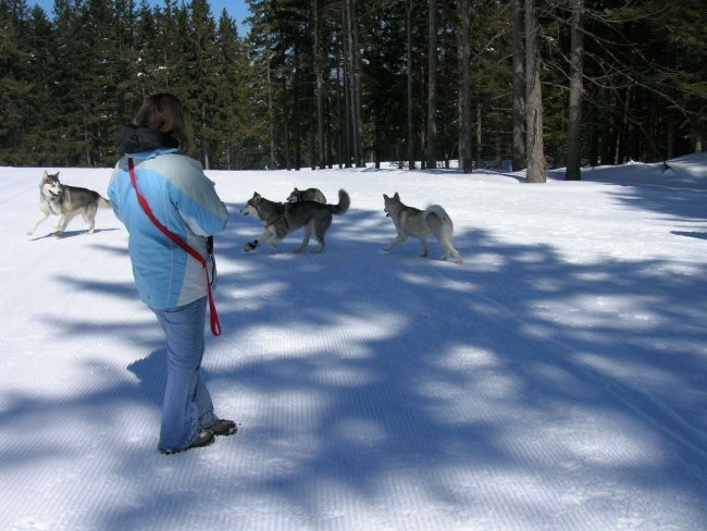 Marec 2006 - Areh - Aska, Mal, Snežka, Delta, - foto povečava