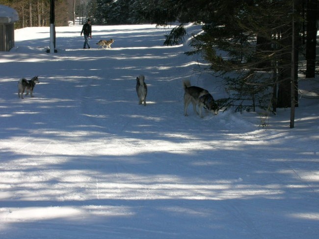 Marec 2006 - Areh - Aska, Mal, Snežka, Delta, - foto povečava