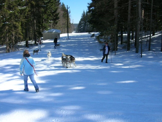 Marec 2006 - Areh - Aska, Mal, Snežka, Delta, - foto povečava