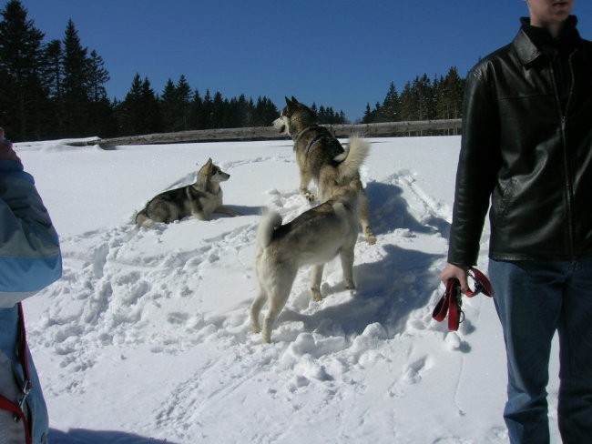 Marec 2006 - Areh - Aska, Mal, Snežka, Delta, - foto povečava