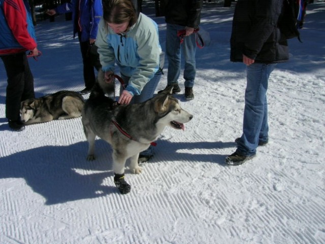 Marec 2006 - Areh - Aska, Mal, Snežka, Delta, - foto