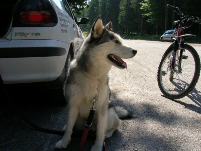 Junij 2006 - Pohorje - Šumik - foto