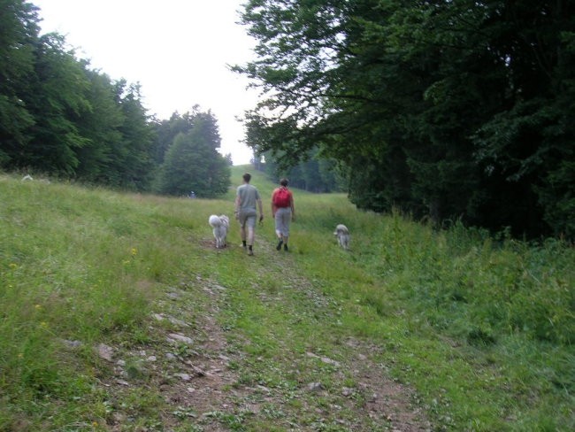 Julij 2006 - Pohorje - Snežka, Delta, Luna - foto povečava